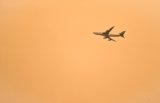 Must-Have Travel Accessories for Co...